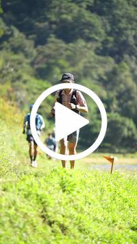 BIB:  <button type="button" onclick="openModal(26578610)" class="btn btn-primary btn-sm float-right" data-toggle="modal" data-target=".modal-high-quality">
                <i class="fa fa-download"></i> Download
                </button>